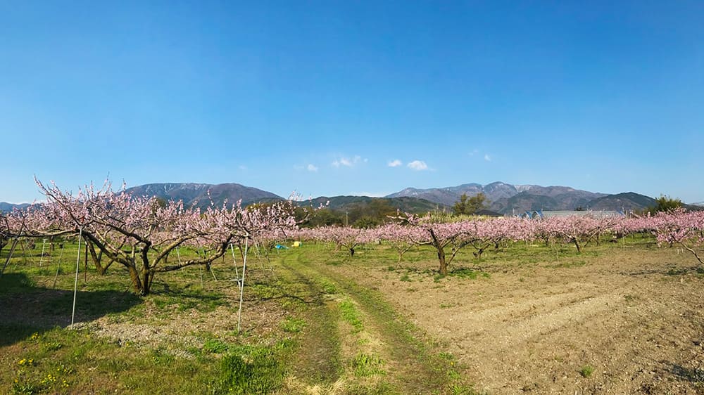 南アルプス市で家を建てたい人へ|失敗しない3つのポイント