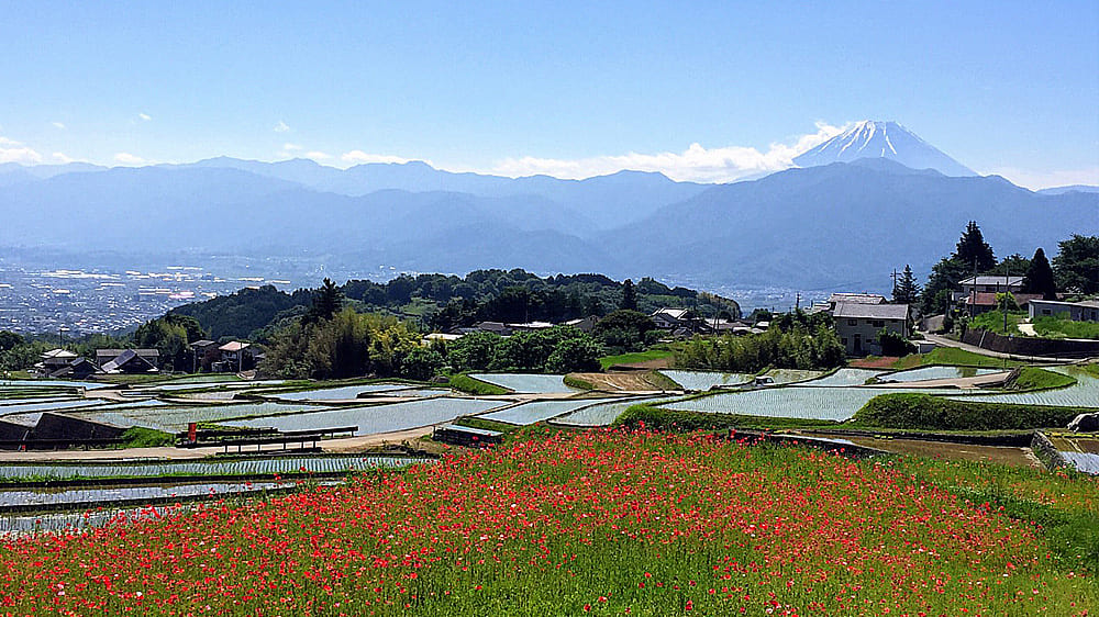 自然豊かな環境と暮らしやすさ